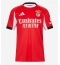 Benfica Vangelis Pavlidis #14 Hjemmebanetrøje 2025-26 Kort ærmer