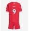 Liverpool Alexander Isak #9 Hjemmebanetrøje Børn 2025-26 Kort ærmer (+ bukser)