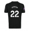 Tottenham Hotspur Brennan Johnson #22 Udebanetrøje 2025-26 Kort ærmer